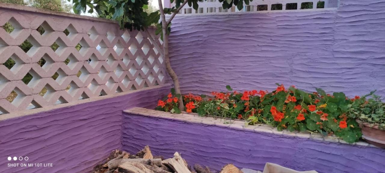 Casa Purple Daire Cala Gonone Dış mekan fotoğraf