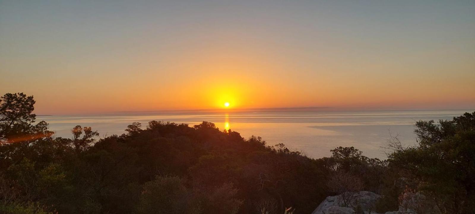 Casa Purple Daire Cala Gonone Dış mekan fotoğraf
