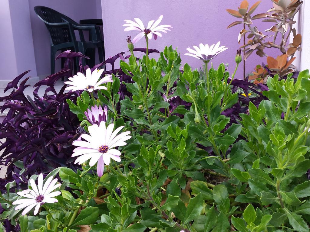Casa Purple Daire Cala Gonone Dış mekan fotoğraf